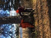 Thumb_img_0564